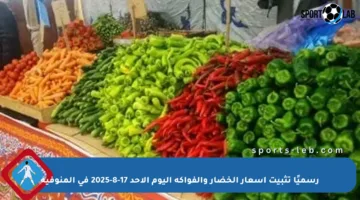 رسميًا تثبيت أسعار الخضار والفواكه اليوم الأحد 17-8-2025 في المنوفية